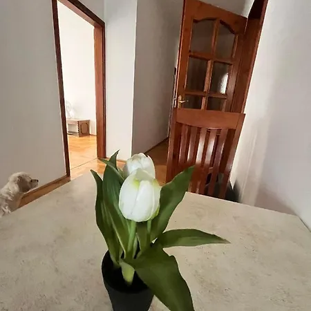 Fonix 2 Privat Apartman